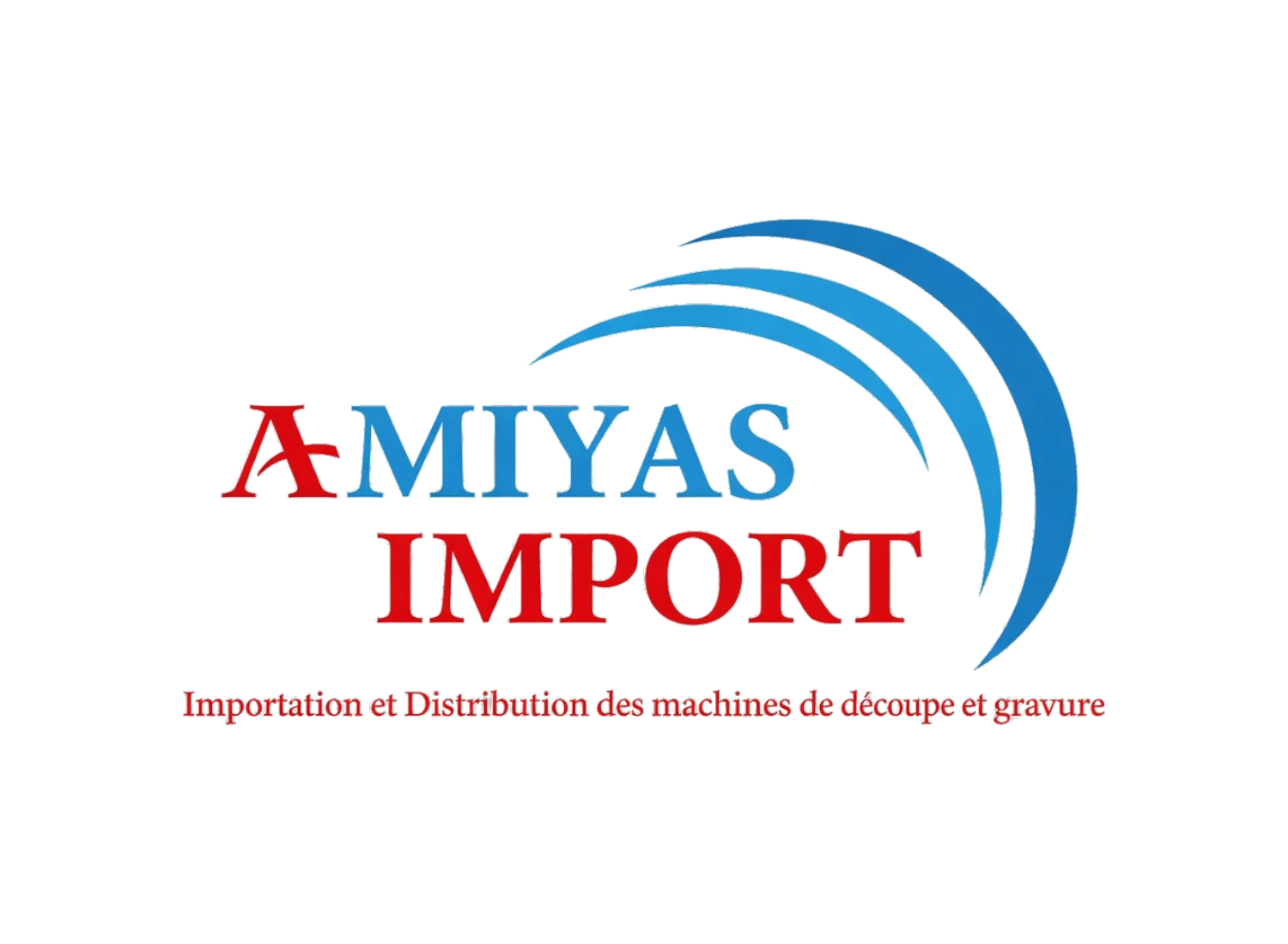 Amiyas Import 2011
