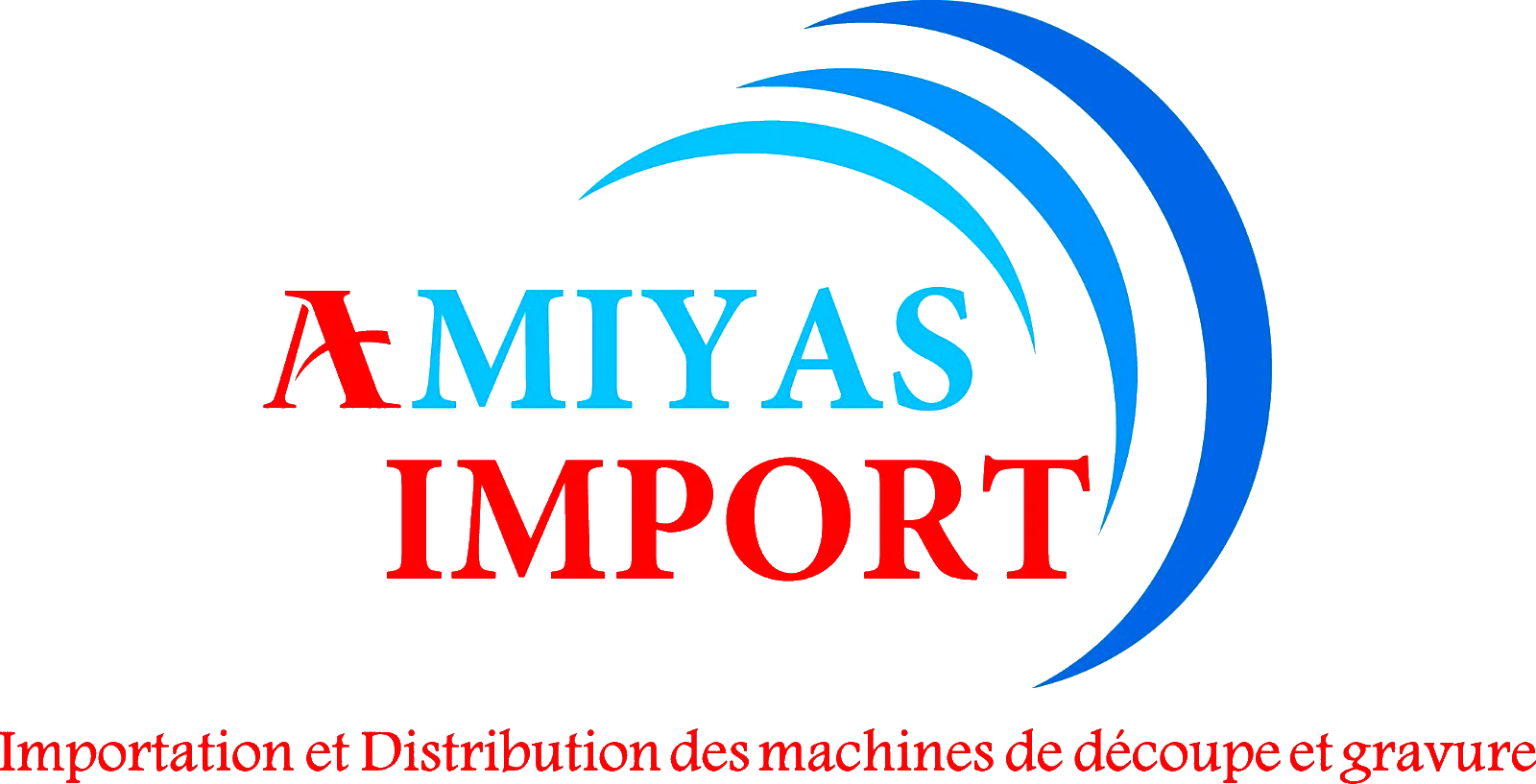 Logo Amiyas Import